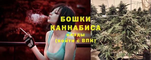 ПСИЛОЦИБИНОВЫЕ ГРИБЫ Абдулино