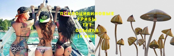 первитин Абинск