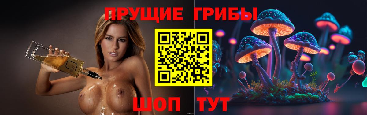 Псилоцибиновые грибы мухоморы Усолье-Сибирское